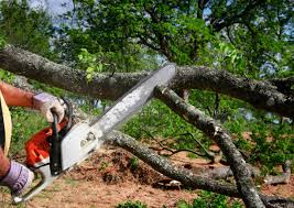 Best Utility Line Clearance  in Centereach, NY